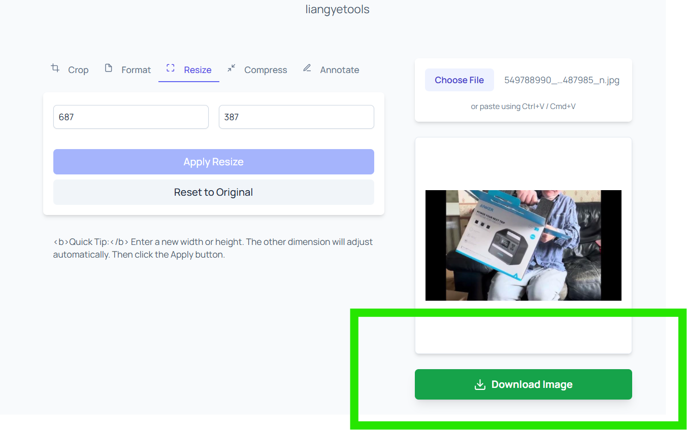 Download area highlighted after resizing in liangyetools