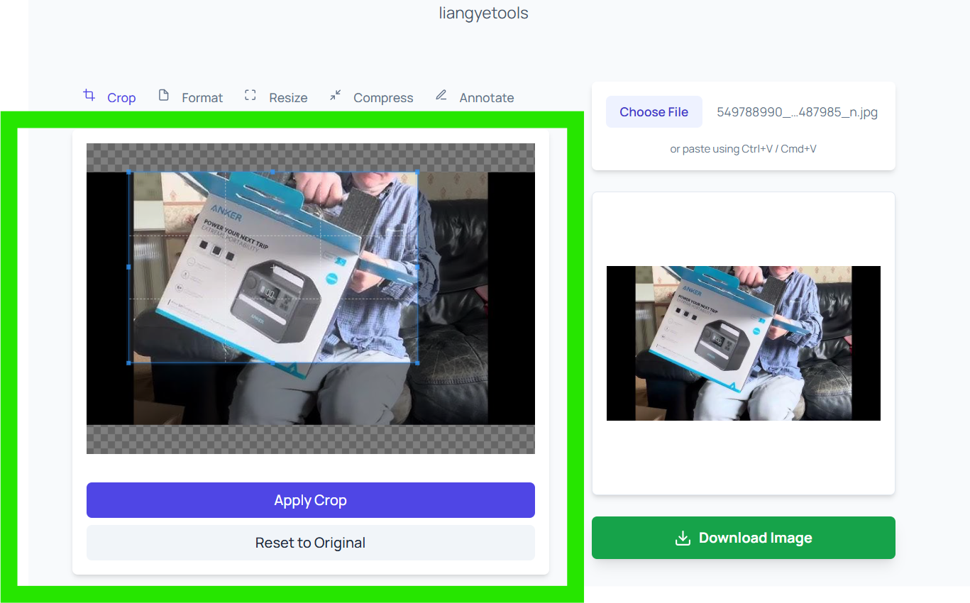 Crop selection box with Apply Crop button and preview in liangyetools