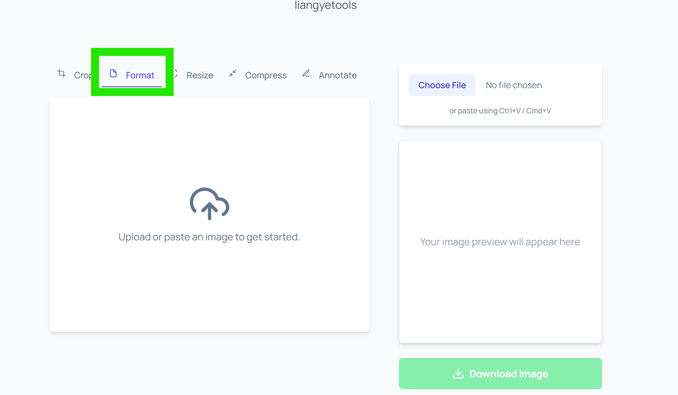 Format tab highlighted in liangyetools navigation
