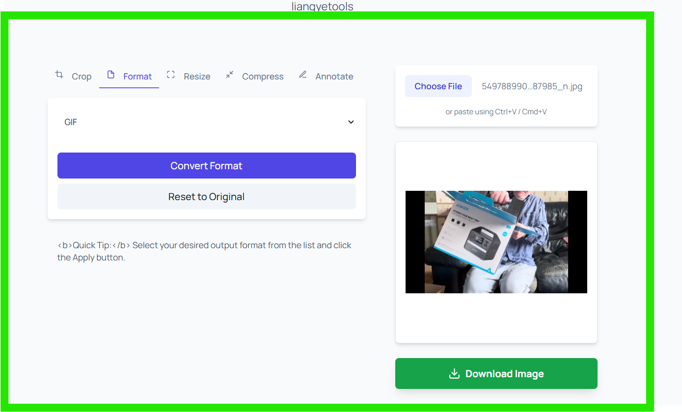 Format dropdown list showing PNG JPEG WEBP GIF BMP ICO options in liangyetools